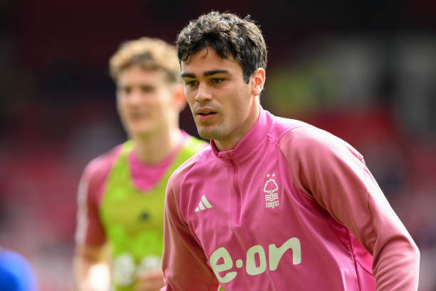 中尤为稀缺 中尤为稀缺